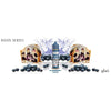 GLAS BASIX SERIES - BLUEBERRY CAKE